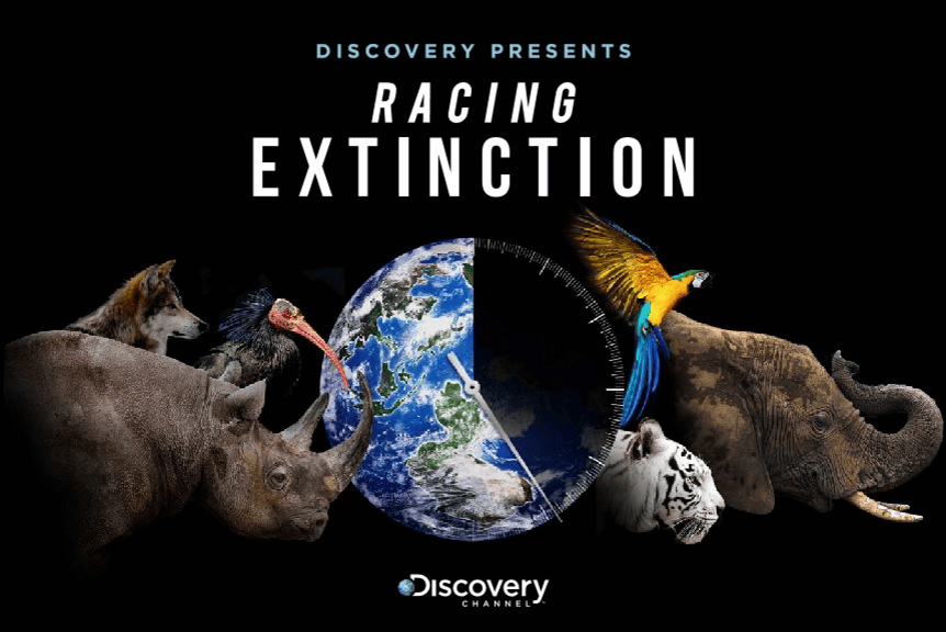 Racing Extinction Borneo Nature Foundation