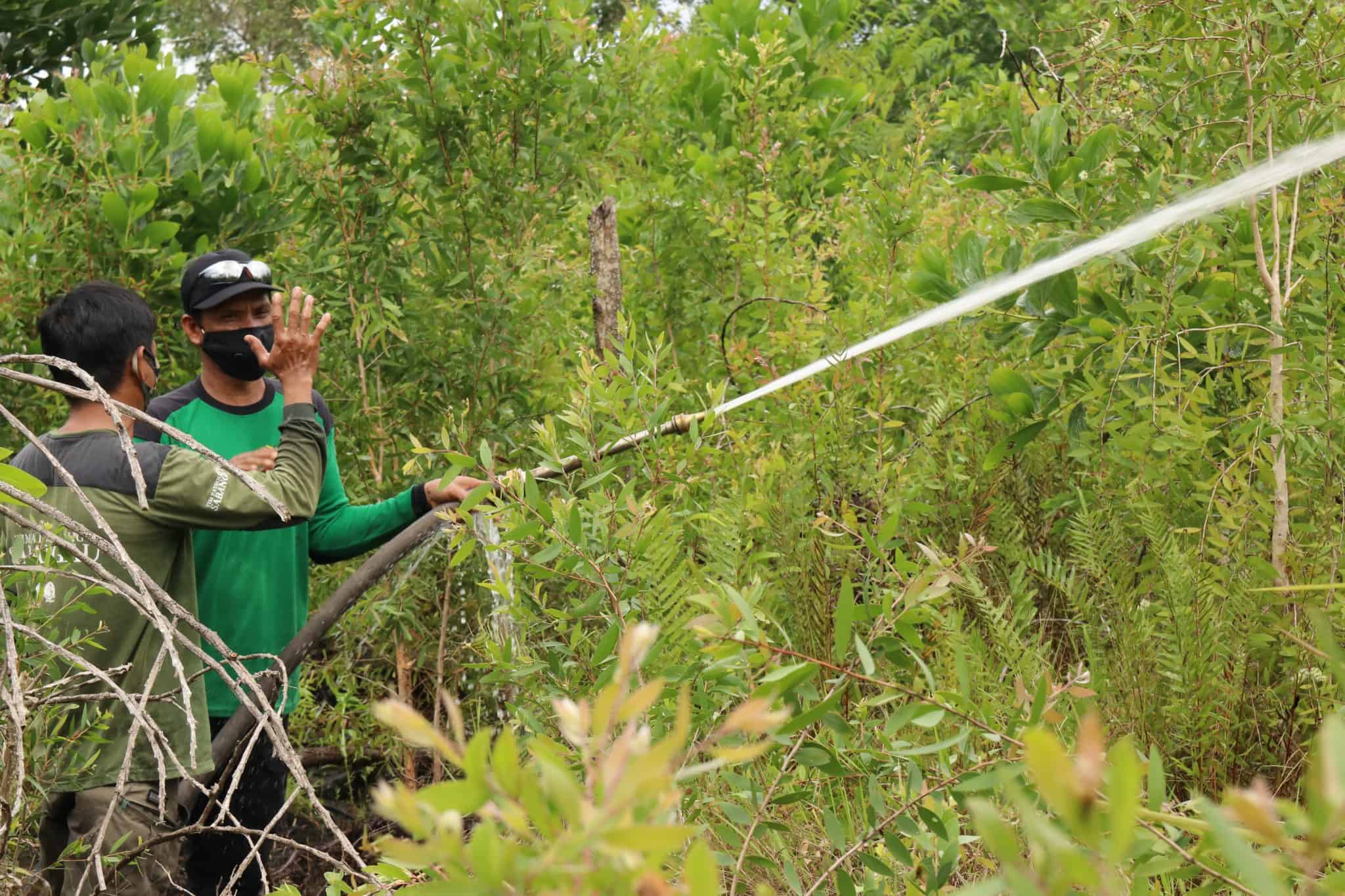 BNF’s 2020 Highlights - Borneo Nature Foundation