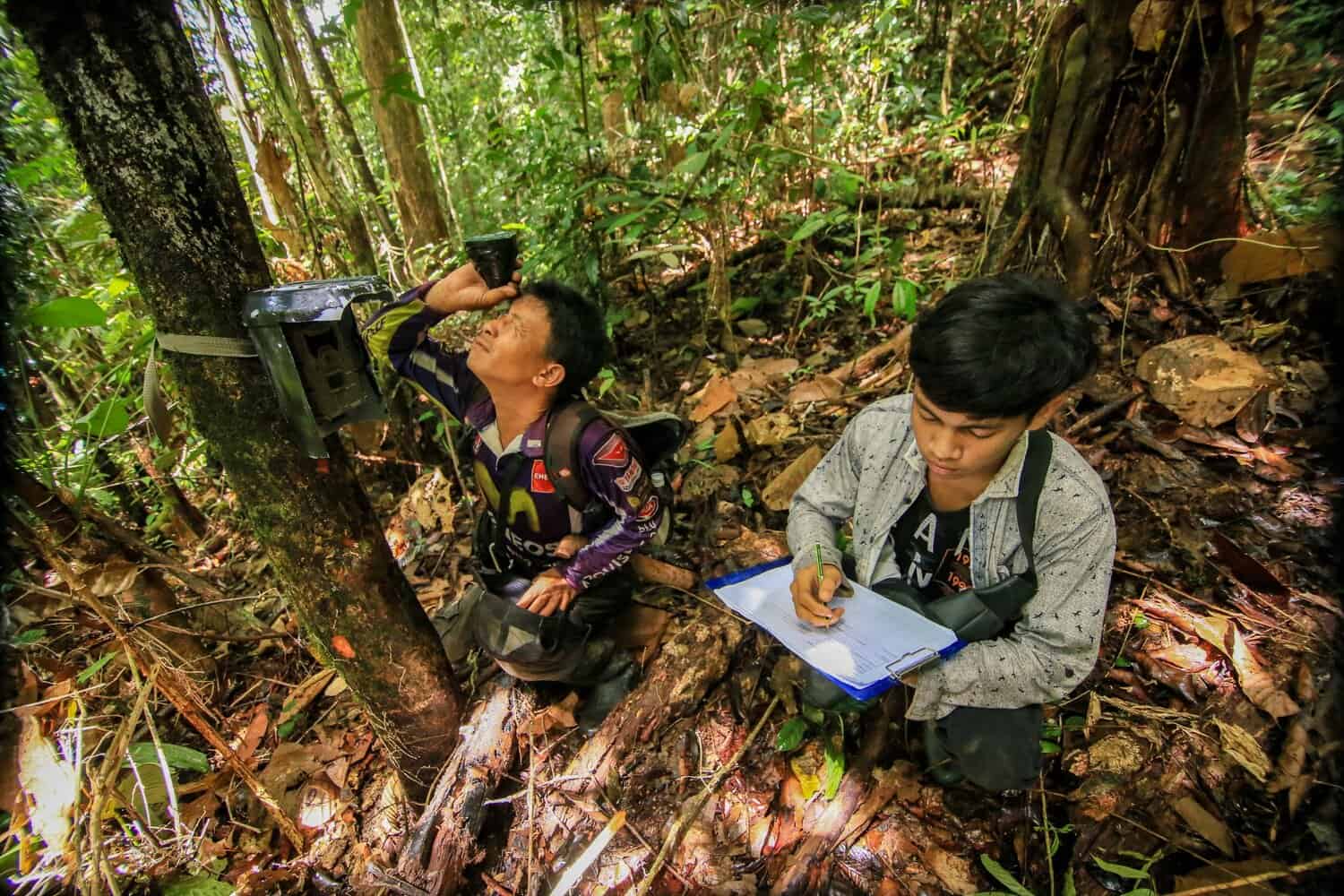 Partner with us - Borneo Nature Foundation