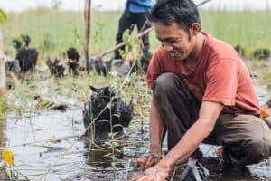 25 Years of Restoring - Borneo Nature Foundation