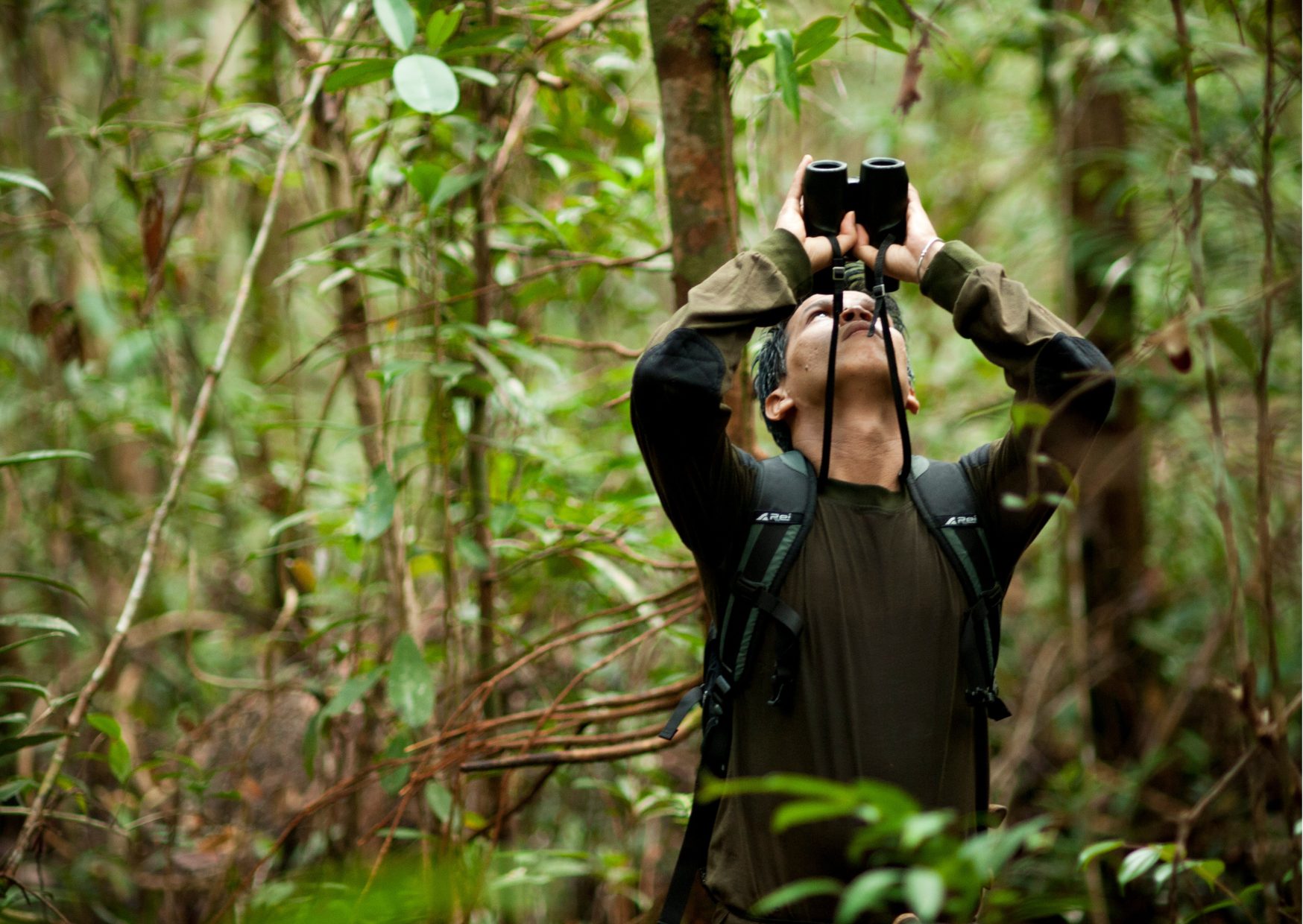 Borneo 2025: Our Vision for the Future - Borneo Nature Foundation