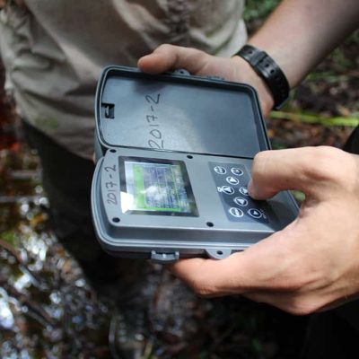 Camera-trap-setup_Sabangau_2017-(2)